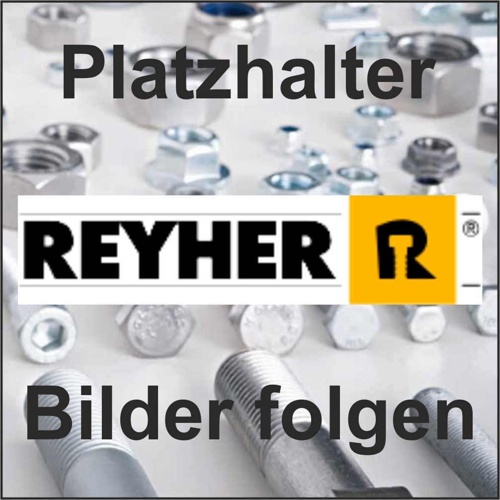 Reyher Baubolzen mit Mutter 4.8 galv vz M12x100 mm 25 ST